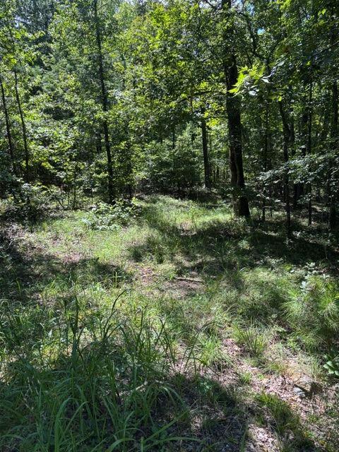 3980 Clinton Ct., Villa Rica, GA 30180