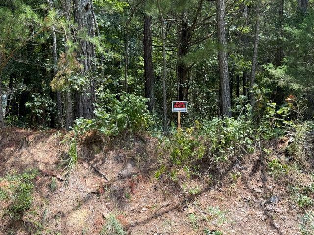 Iron Hill Road Lot 1, Taylorsville, GA 30178