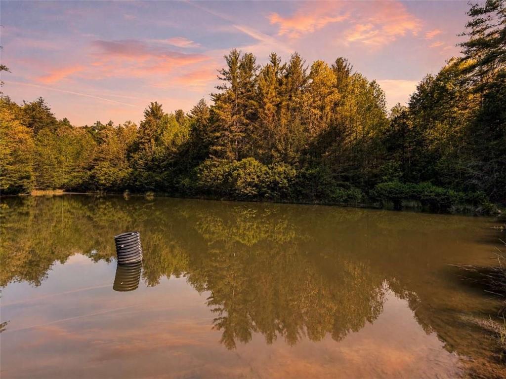 40 AC Valley Lake Rd., Mineral Bluff, GA 30559