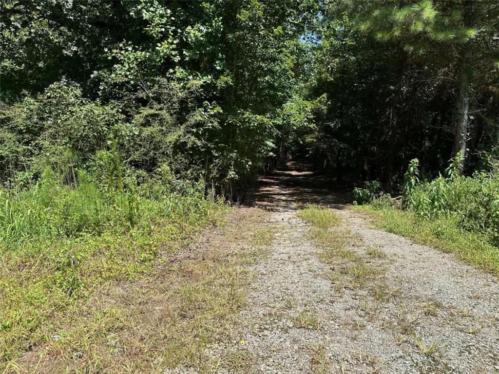 305 Wildcat Rd., Buchanan, GA 30113