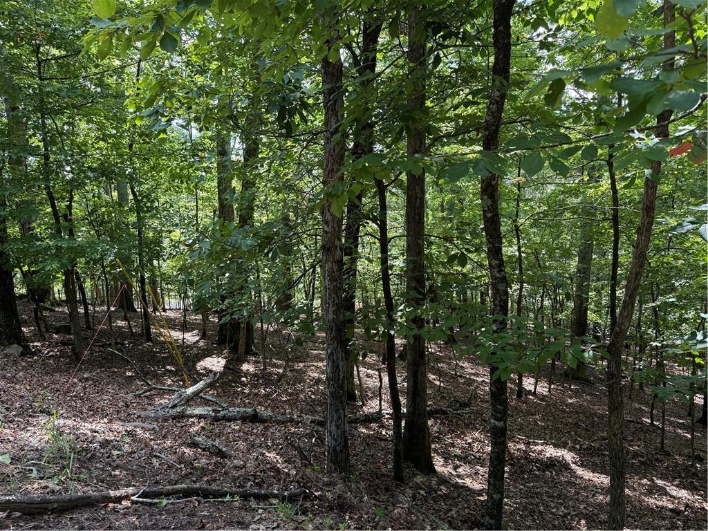 117 Tulip Tree Ct., Waleska, GA 30183