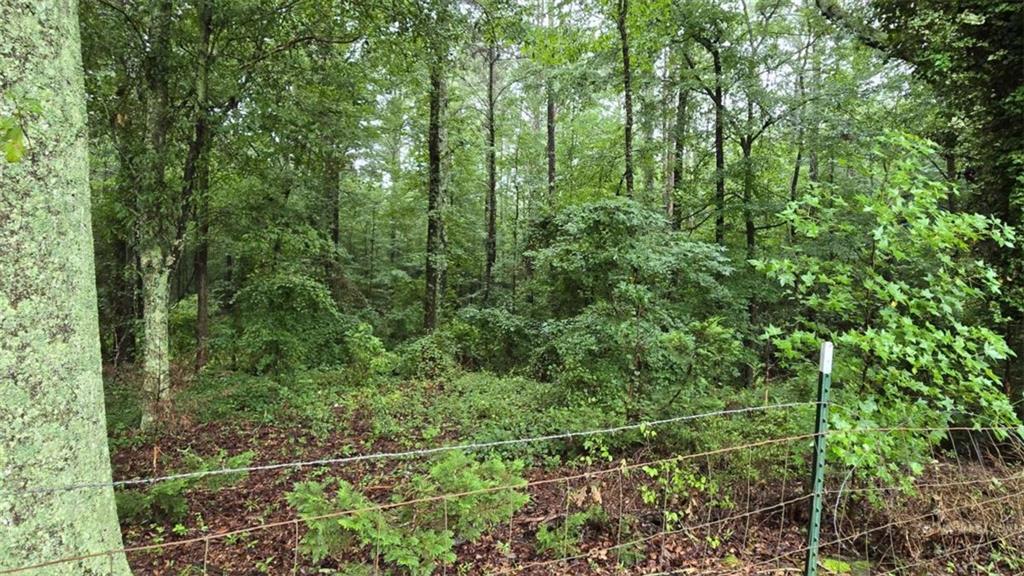 Bob Holman Rd., Athens, GA 30607