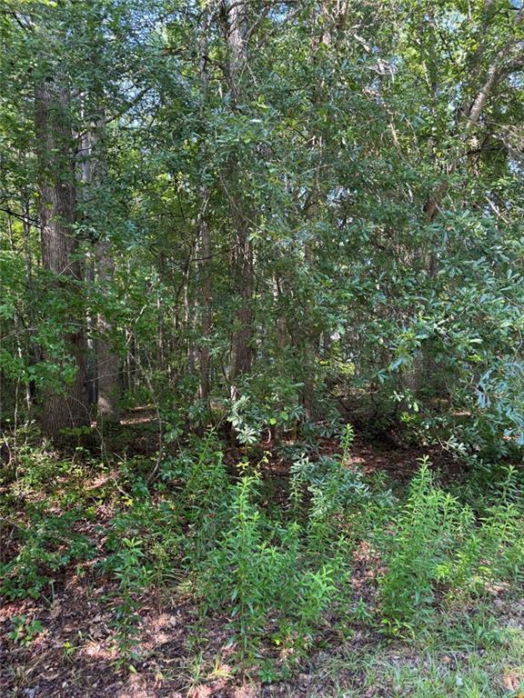 89 Trellis Ct., Carrollton, GA 30116