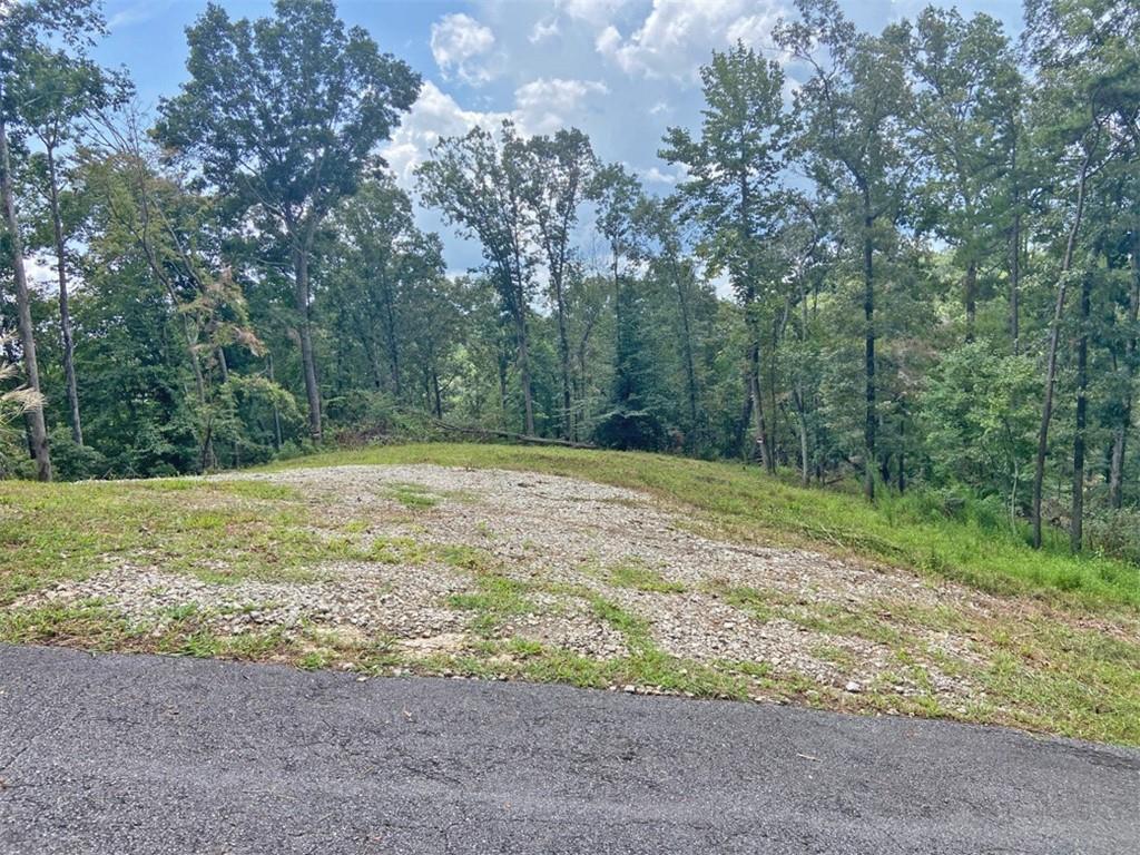 3.3ac Trillium Trail, Dahlonega, GA 30533