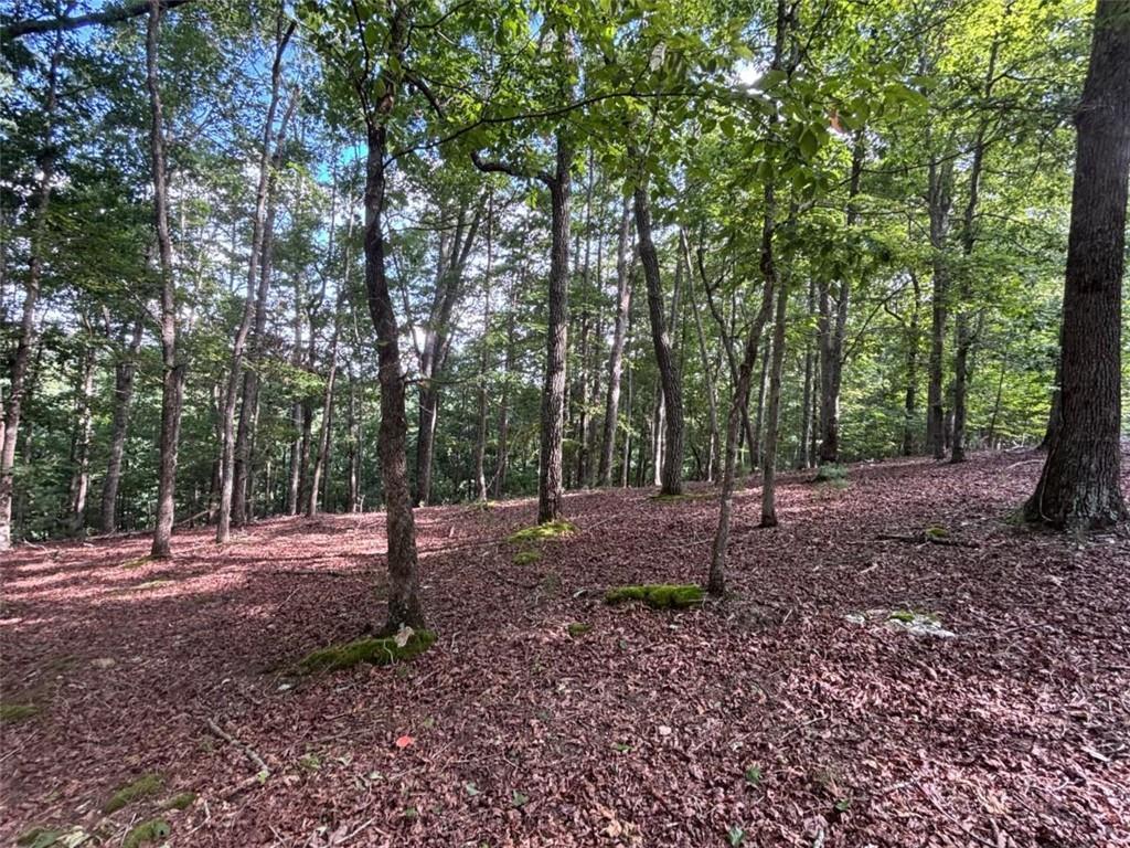 LOT 5 Westwood Ave., Blairsville, GA 30512