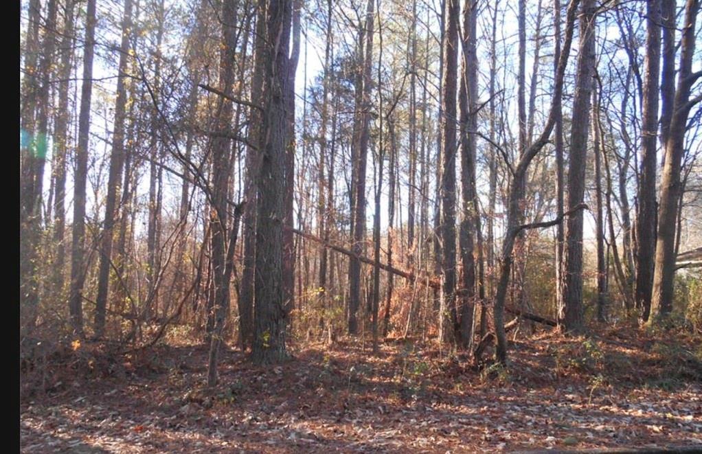 Bartlett Cir., Bowdon, GA 30108