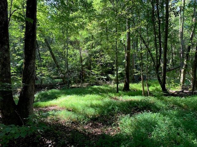 4000 Campbellton Fairburn Rd., Fairburn, GA 30213