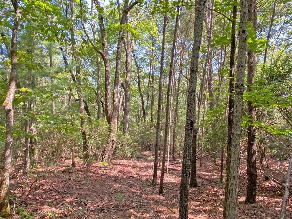 10.59 Ac, T S Jarrard Rd., Dahlonega, GA 30533