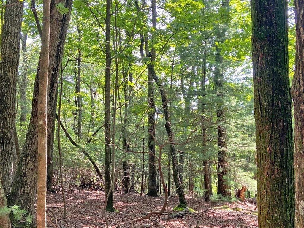 11AC T S Jarrard Rd., Dahlonega, GA 30533