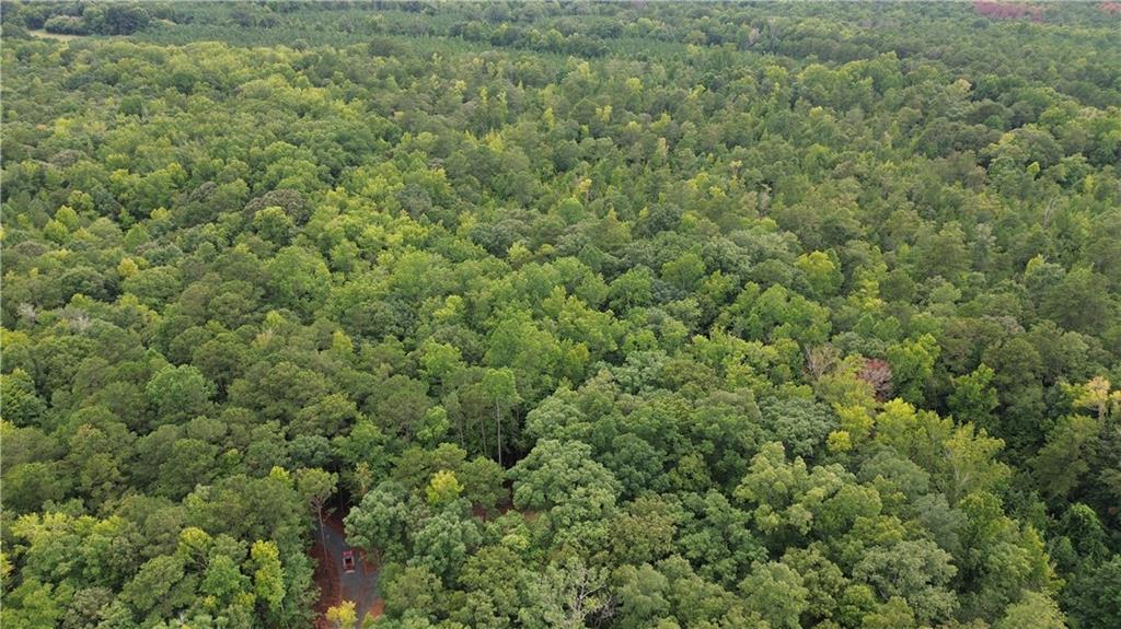 Roosevelt Hwy - 20.58 Acres, Warm Springs, GA 31830
