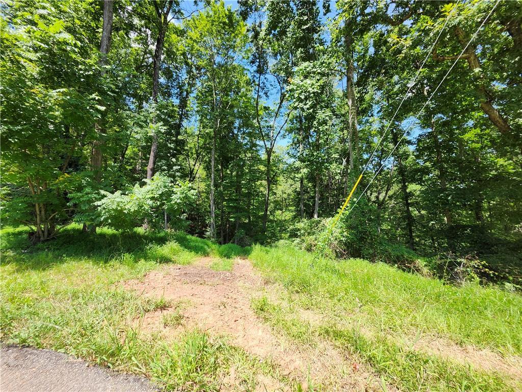 Deer Run Dr., Dahlonega, GA 30533