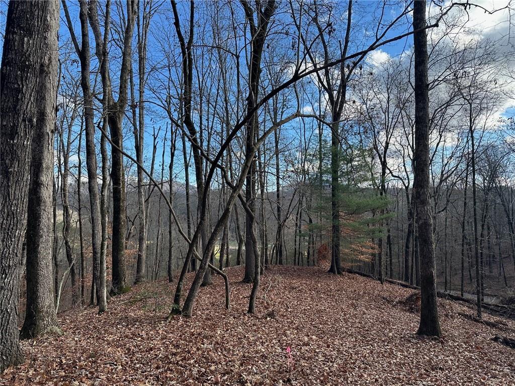 200 Mincey Acres Dr., Murrayville, GA 30564