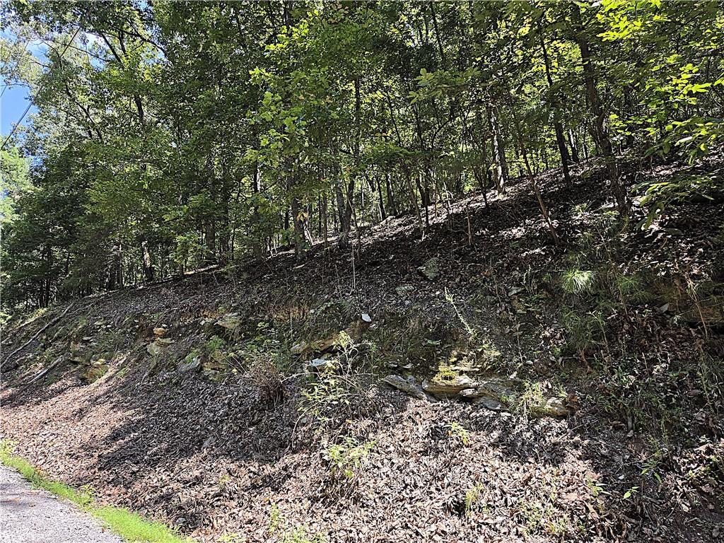 686 Anderson Ln., Ranger, GA 30734