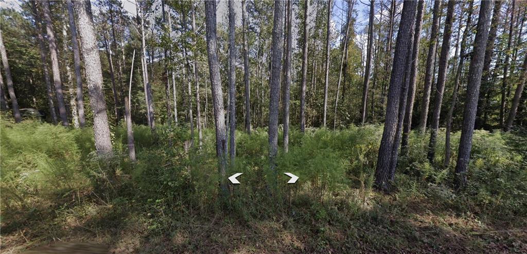 Holly Road Tract 3, Bowdon, GA 30108