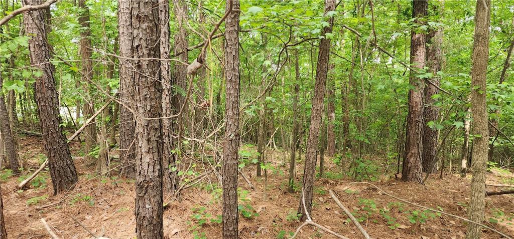 0000 Rabbit Farm Rd., Loganville, GA 30052