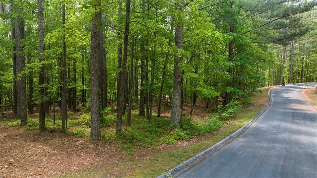 Golden Delicious Rd., Clarkesville, GA 30523