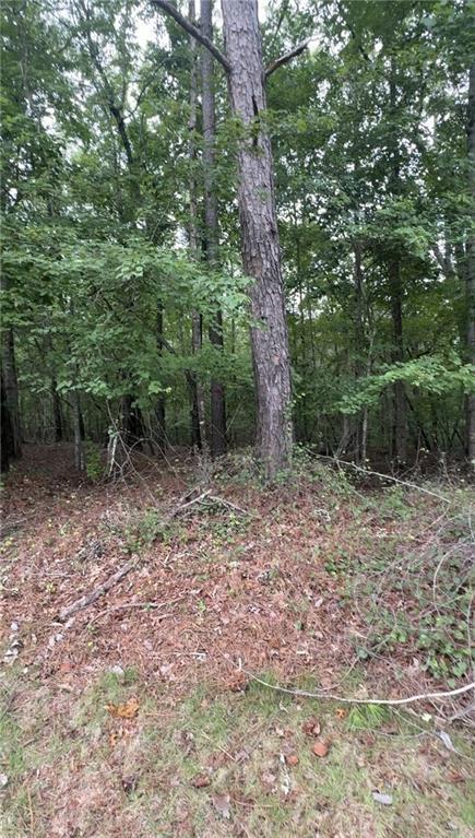 5850 Double Birch, Douglasville, GA 30135