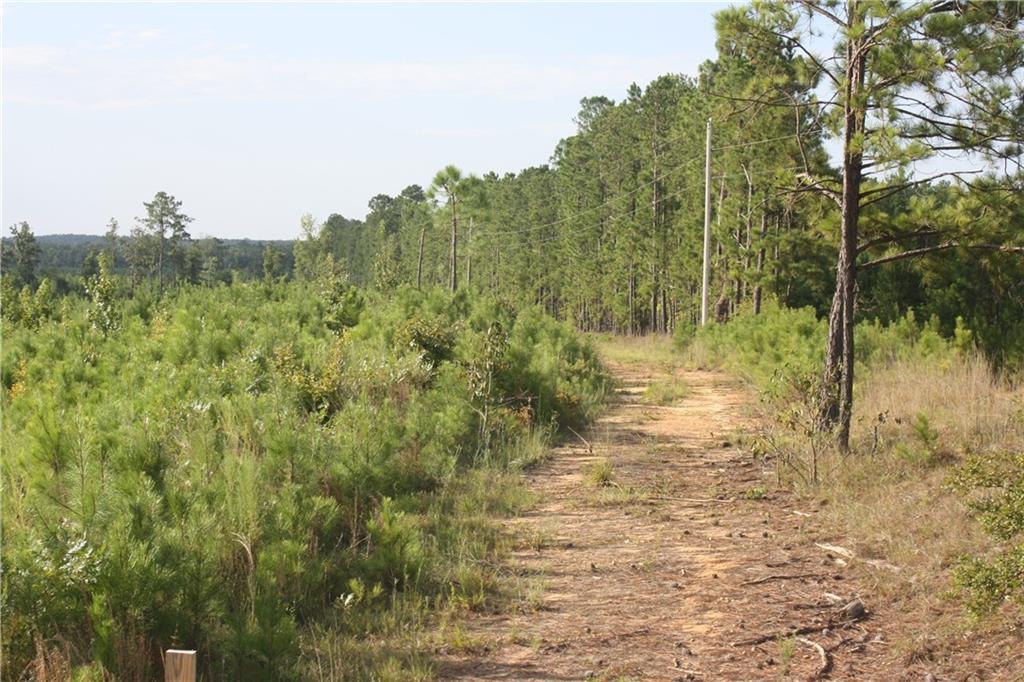 Balerma Church Rd., Sparta, GA 31087