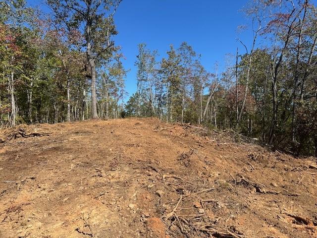 3.71 Yancy Dr., Dawsonville, GA 30534