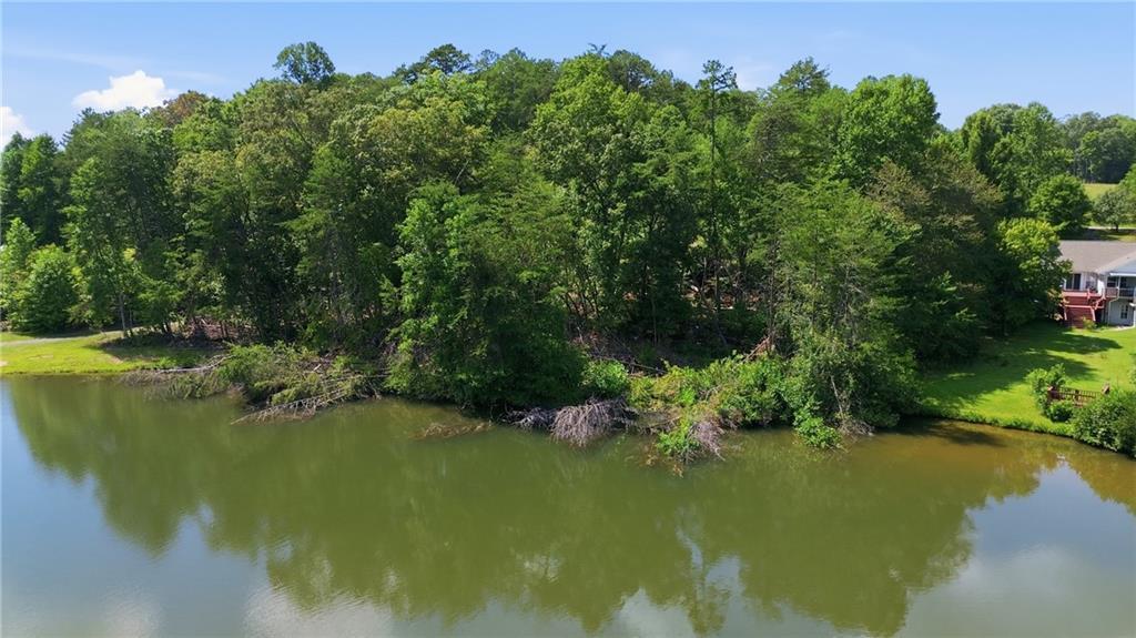 Deer Trail Lakes, Clarkesville, GA 30523