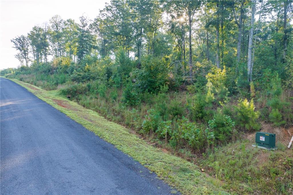 LT 191 Oak Park Dr., Talking Rock, GA 30175