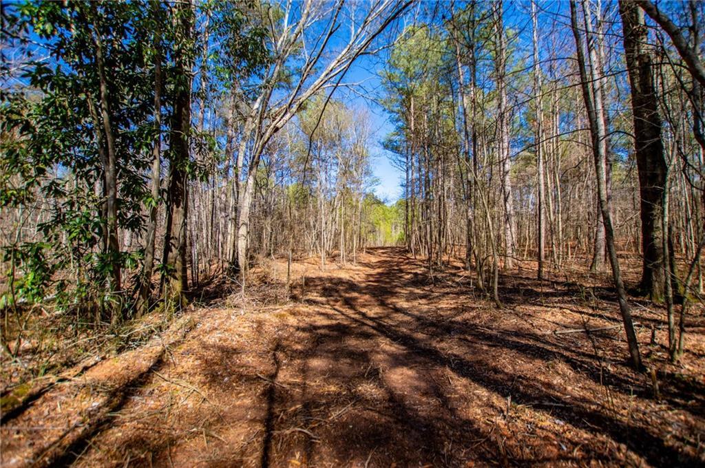 Hwy 166 E - 21+ Acres, Bowdon, GA 30108