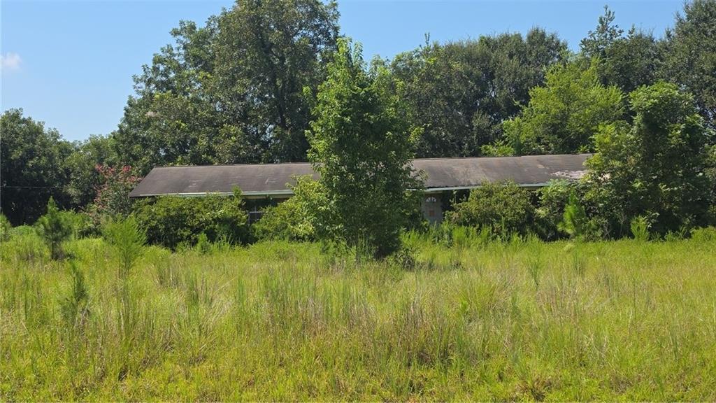 159 Grimsley Rd., Colquitt, GA 39837
