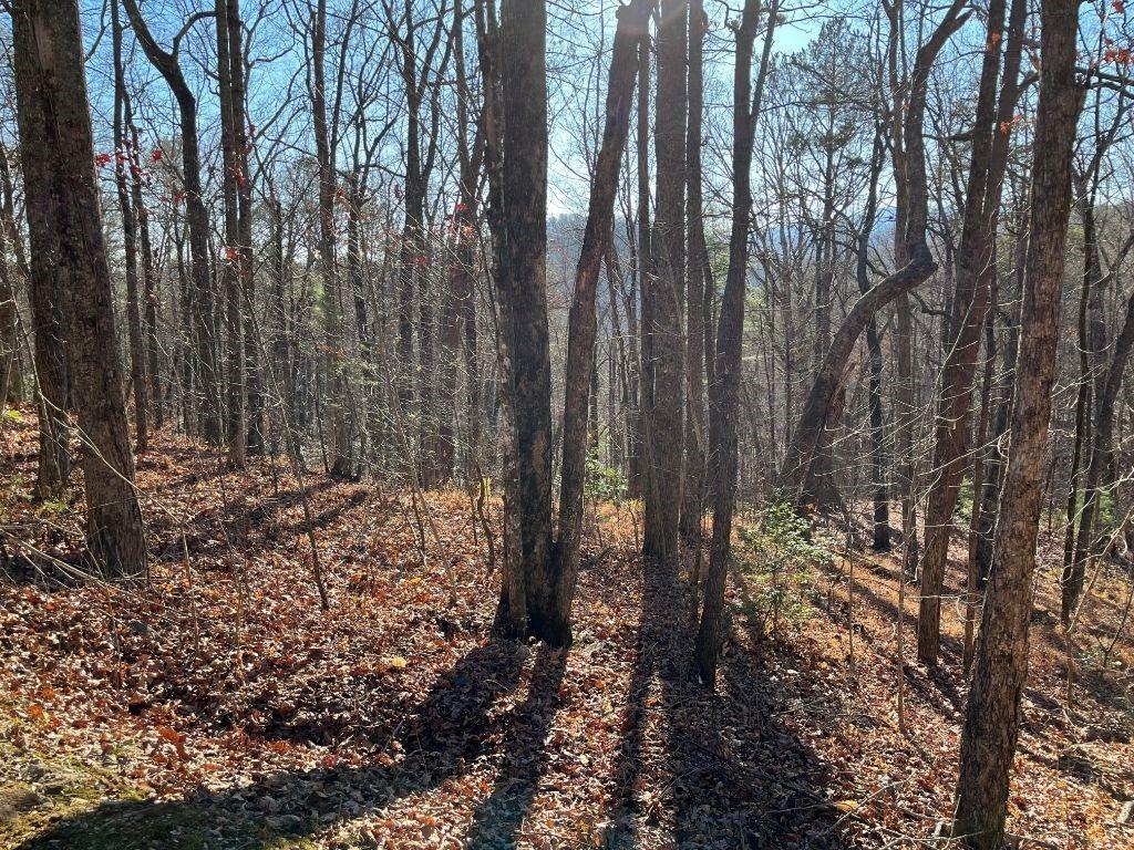 LOT #1 Forest Canopy Way, Clayton, GA 30525
