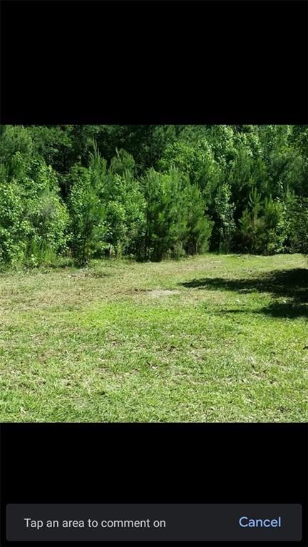 221 Turtle Dr., Richmond Hill, GA 31324
