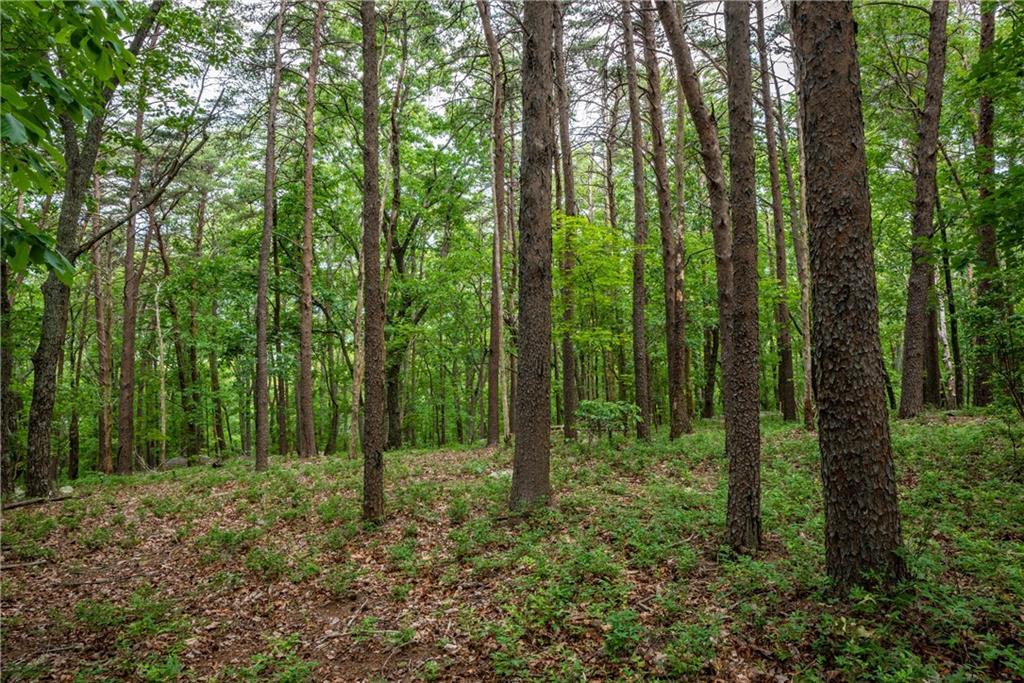 206R Mystic Trail Ln., Jasper, GA 30143