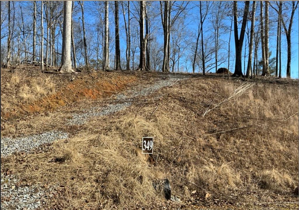 LT 349 Reel Rd, Talking Rock, GA 30175