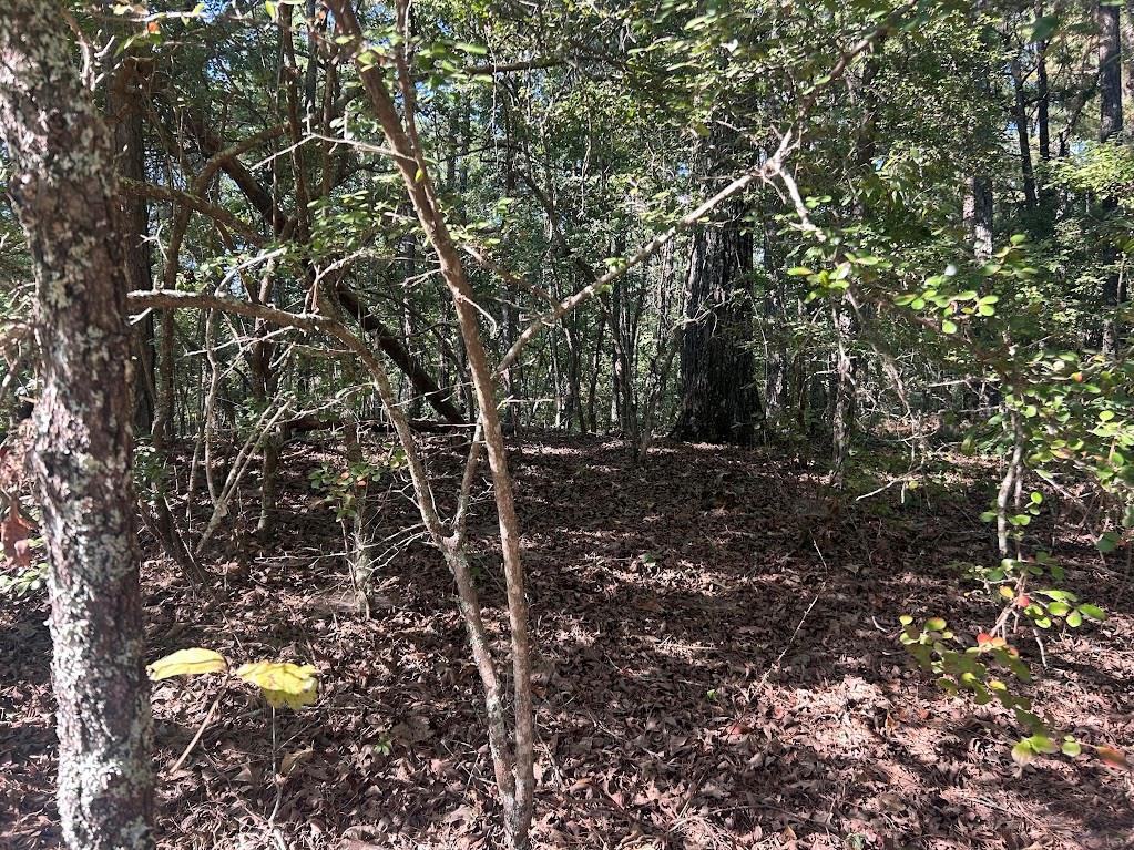 Springer Rd., Whitesburg, GA 30185