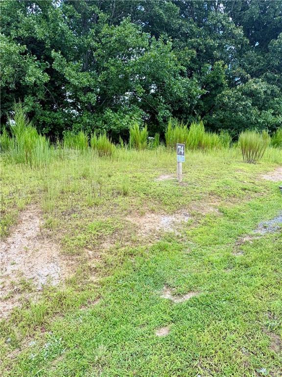 Big Valley Drive, Blue Ridge, GA 30513