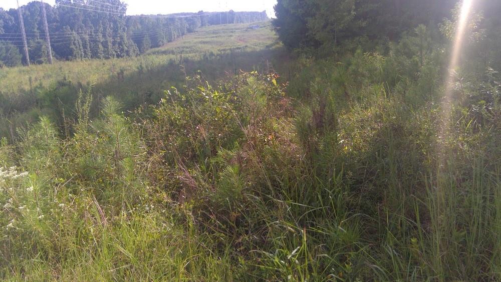 SW Klondike Rd., Conyers, GA 30094