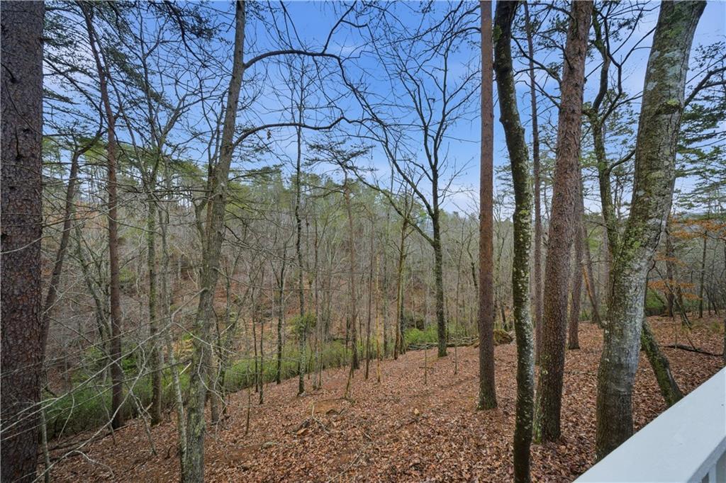 121 White Antelope St., Waleska, GA 30183