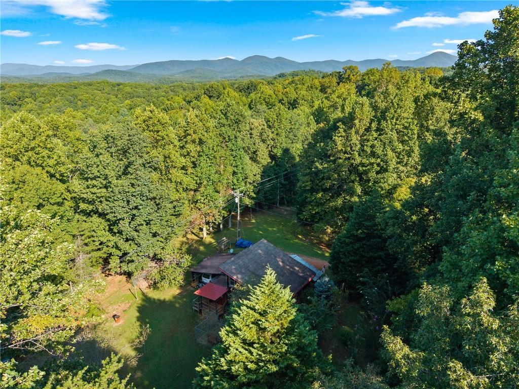 5351 Highway 19, Dahlonega, GA 30533