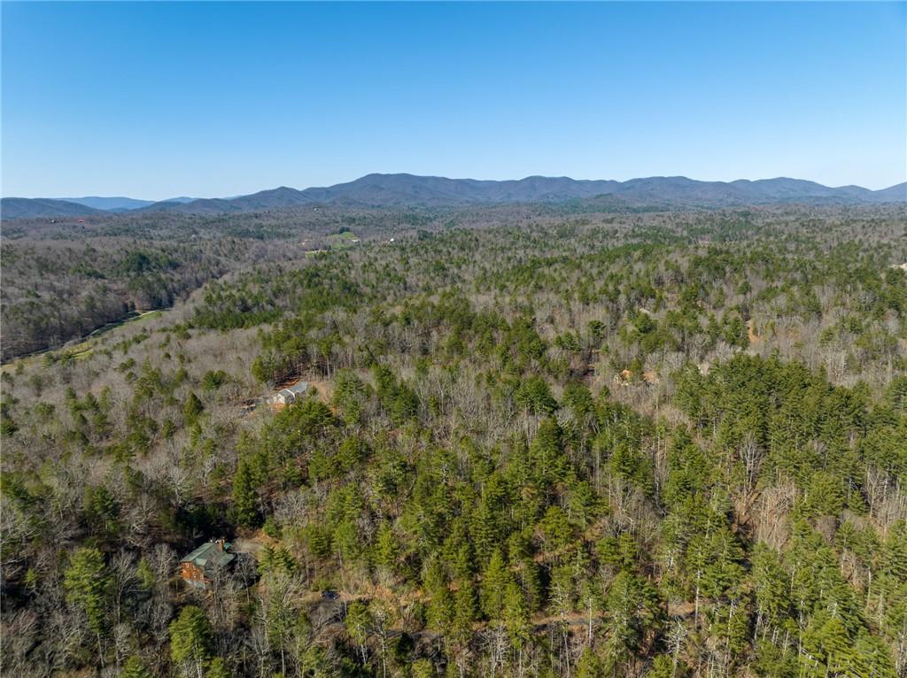 Coatopa Ct., Ellijay, GA 30540