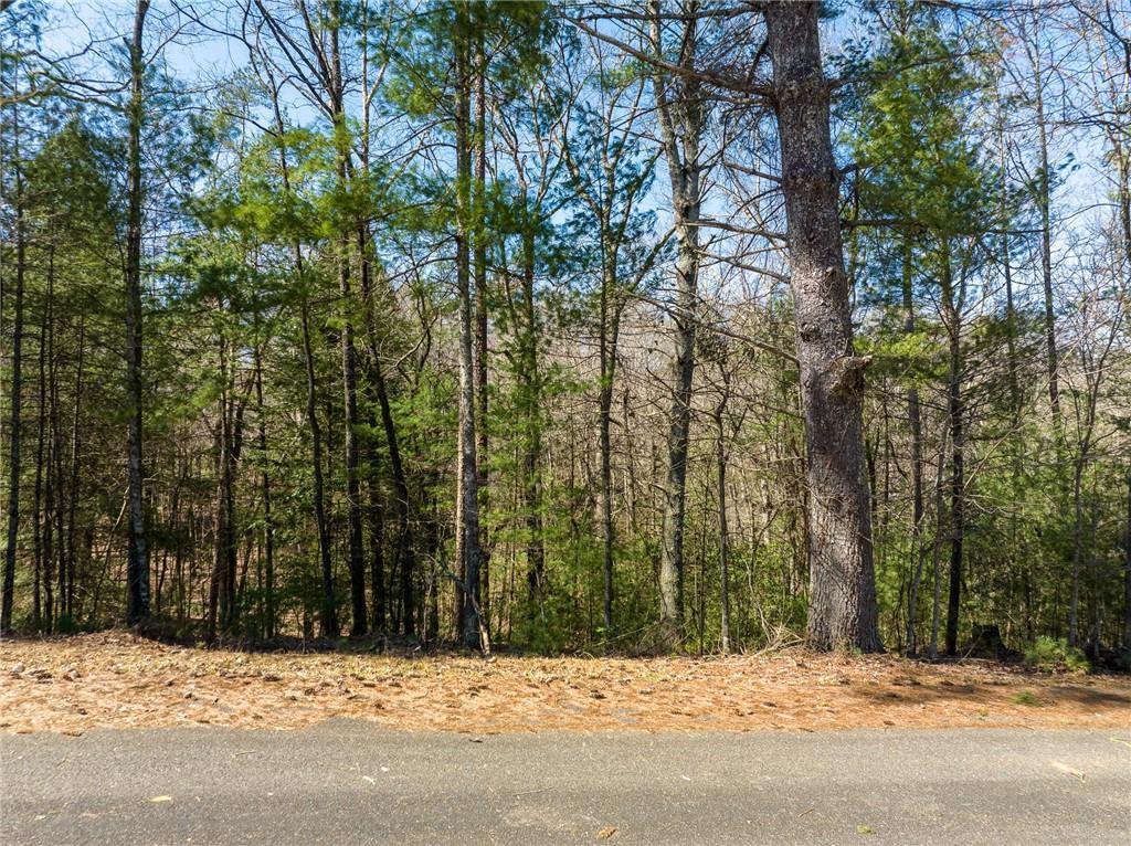 Shenendoa Dr., Ellijay, GA 30540