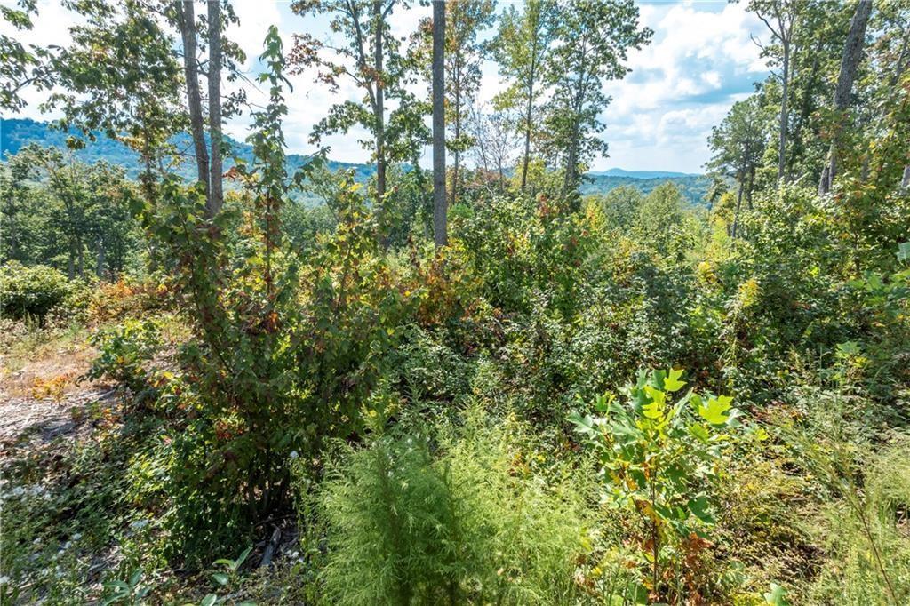 279 Highgrove Dr., Talking Rock, GA 30175