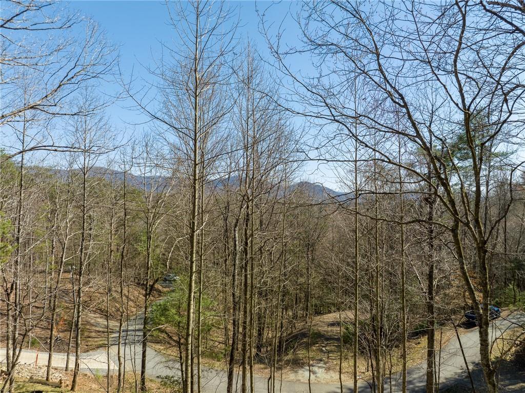 Chicasaw Dr., Ellijay, GA 30540