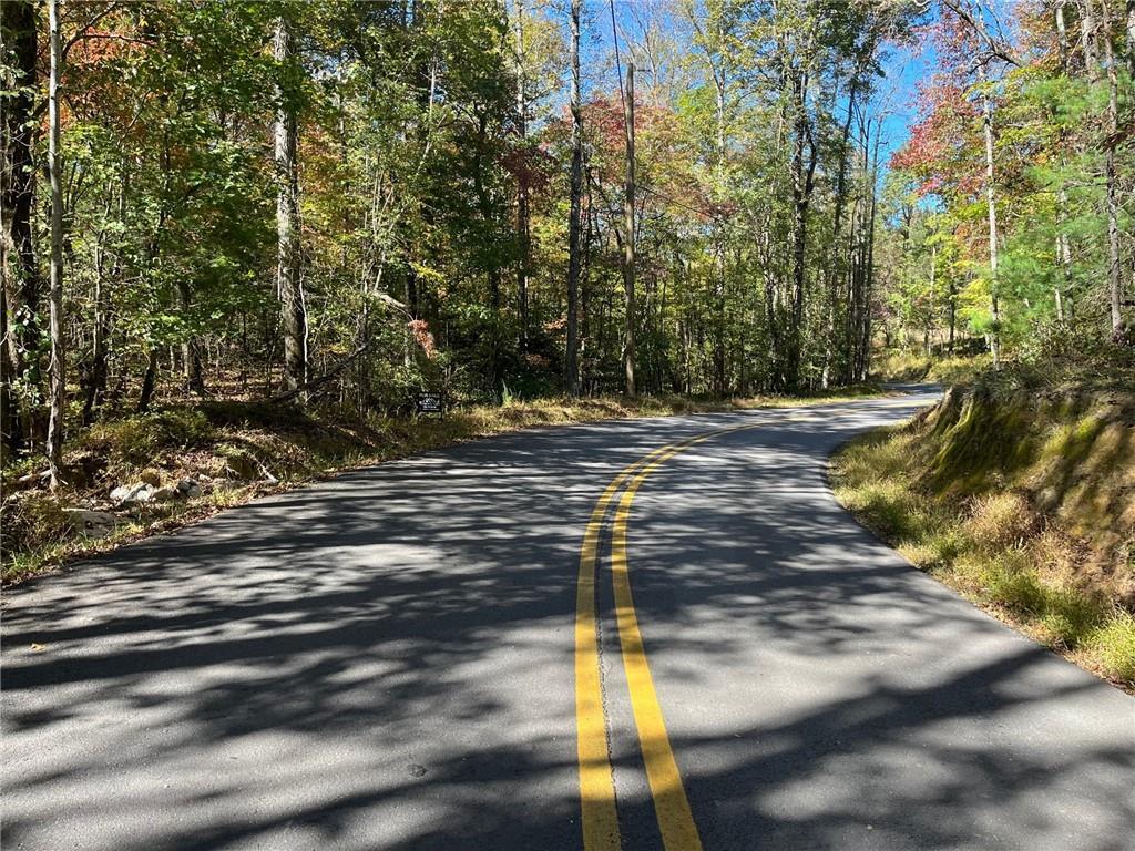 Little Mountain Rd., Dahlonega, GA 30533