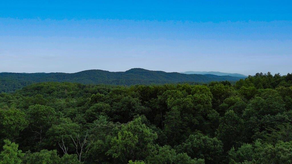 LOT 6 Allaire Ln., Mineral Bluff, GA 30559