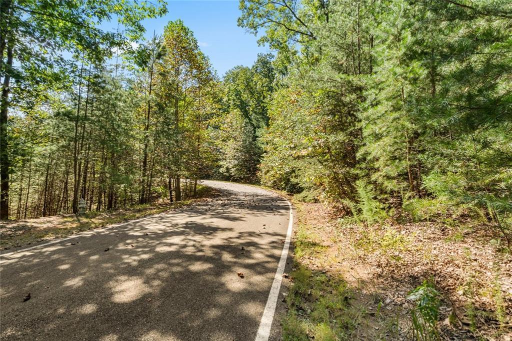 288 Blazingstar Tr., Big Canoe, GA 30143