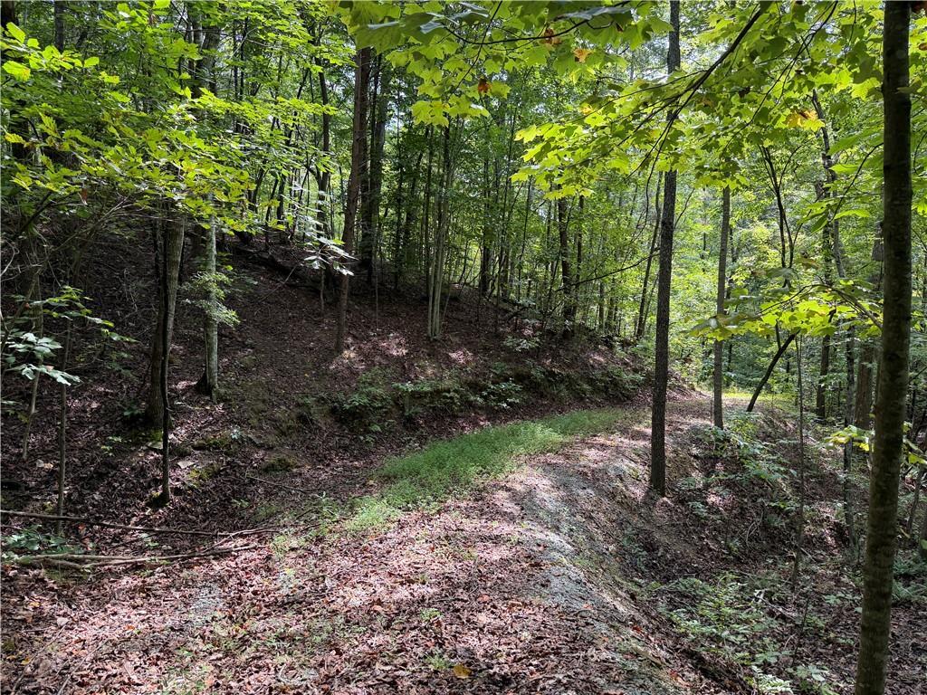 Fuller Mountain Rd., Fairmount, GA 30139