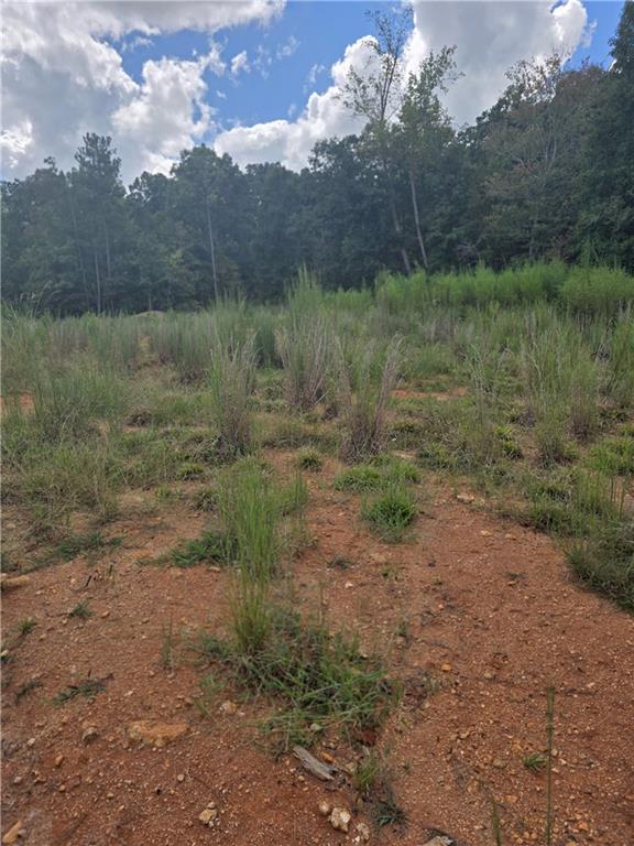 888 Forrester Cemetery Rd., Covington, GA 30014
