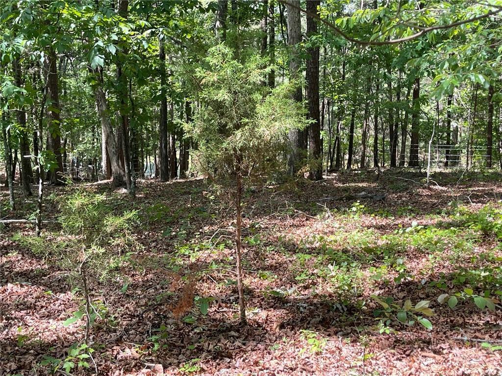 TR 2 Chalcrest Way, Cave Spring, GA 30124