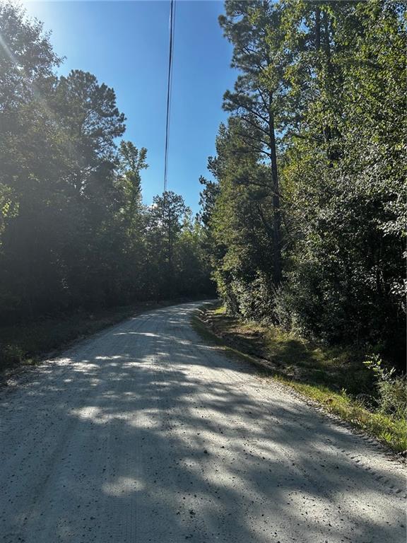 12345 Hamilton Rd., Palmetto, GA 30268