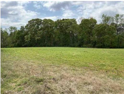 1325A Holland Dr., Byromville, GA 31007