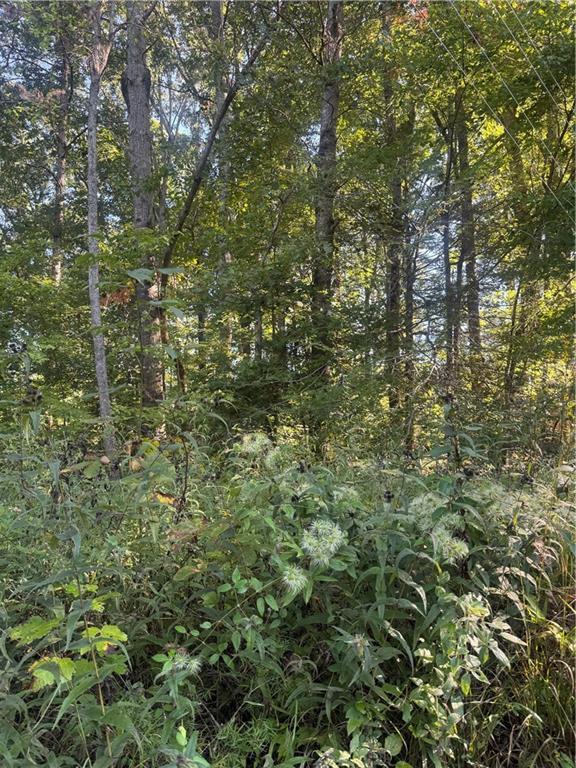 Lot 3 Roberts Ridge Rd., Ellijay, GA 30540