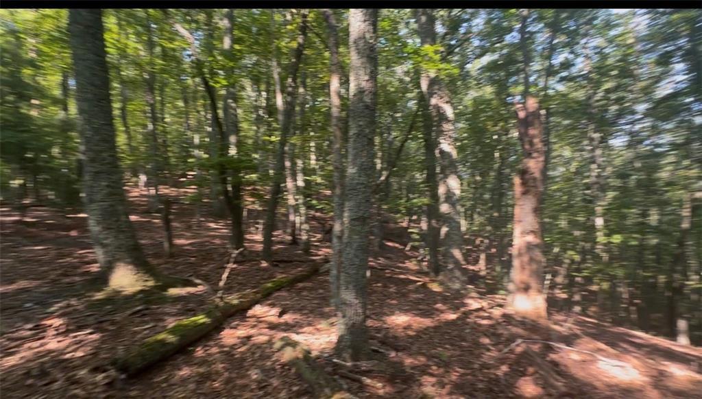 Brooks Ridge Rd., Mineral Bluff, GA 30559